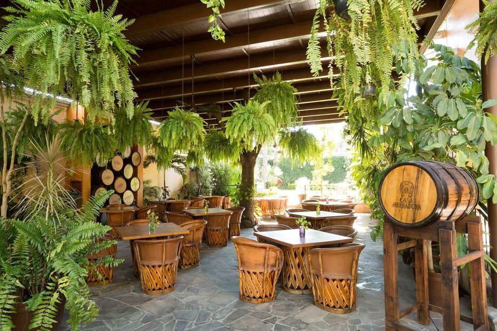 Hotel Villa Tequila Εξωτερικό φωτογραφία
