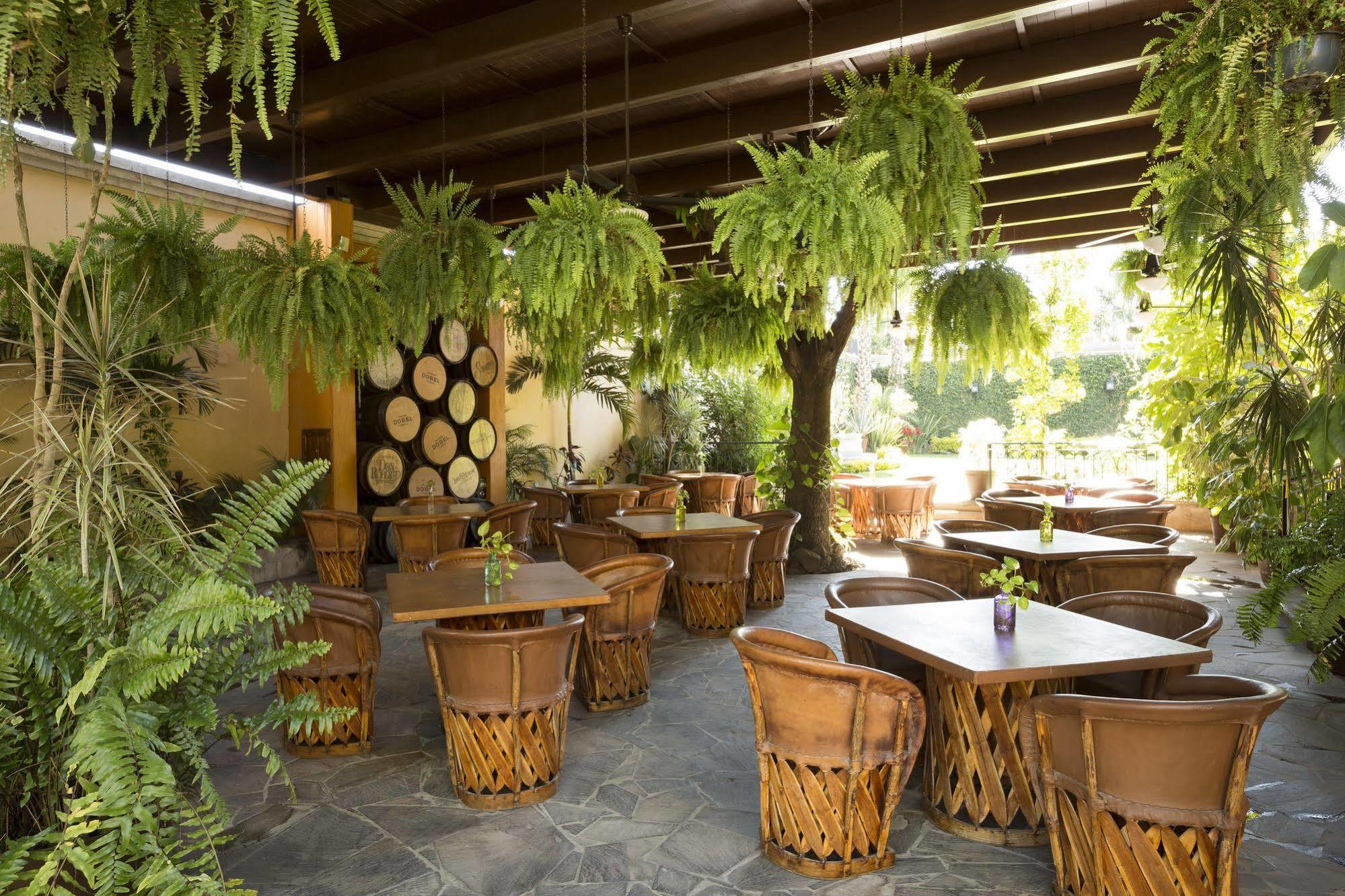 Hotel Villa Tequila Εξωτερικό φωτογραφία